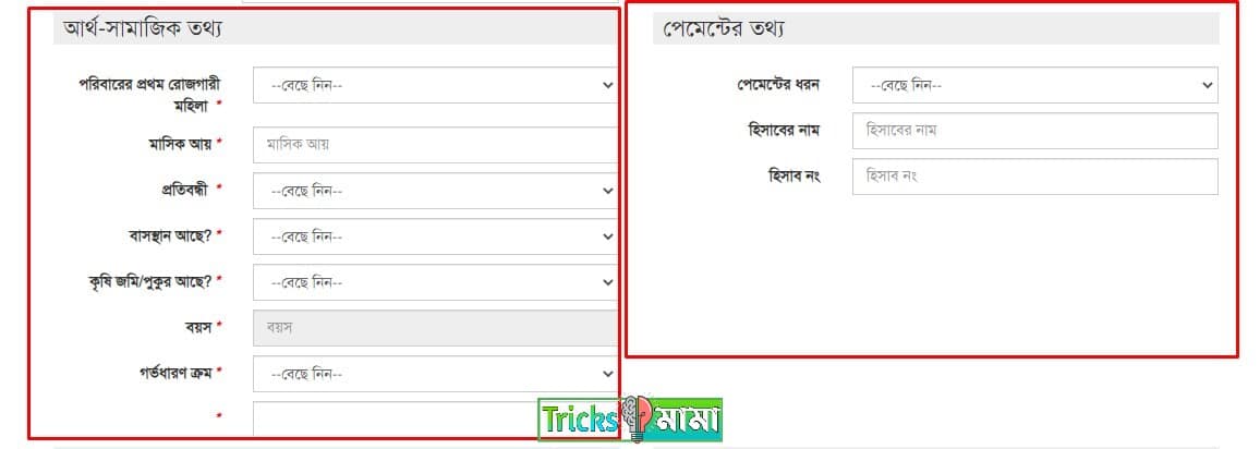 মাতৃত্বকালীন ভাতা