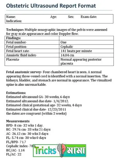 Ultrasonogram report