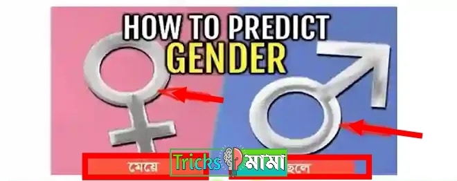 আলট্রাসনোগ্রাম রিপোর্ট ছেলে না মেয়ে বোঝার উপায়